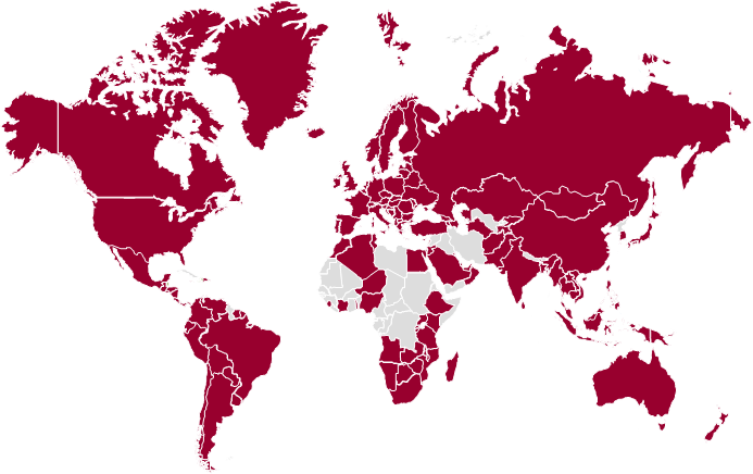 Global Network